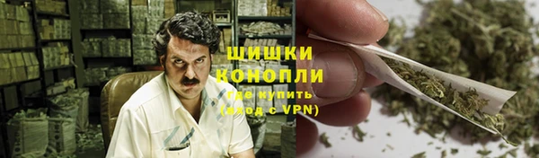 ГАЛЛЮЦИНОГЕННЫЕ ГРИБЫ Коряжма