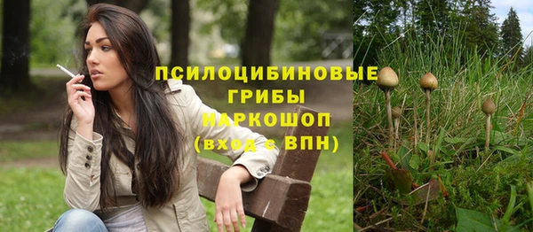 прущие крисы Корсаков