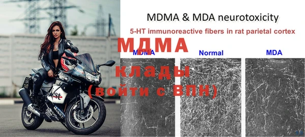 ГАЛЛЮЦИНОГЕННЫЕ ГРИБЫ Коряжма