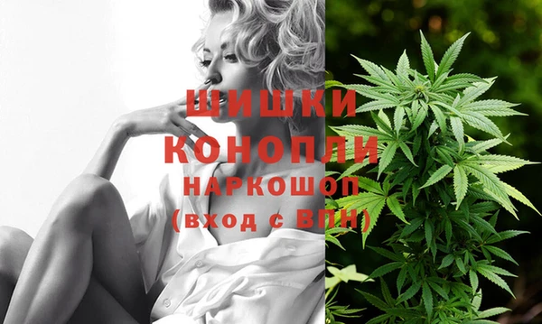 ГАЛЛЮЦИНОГЕННЫЕ ГРИБЫ Коряжма